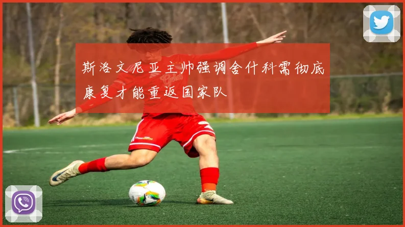 斯洛文尼亚主帅强调舍什科需彻底康复才能重返国家队