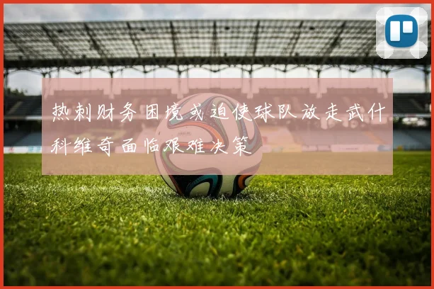 热刺财务困境或迫使球队放走武什科维奇面临艰难决策