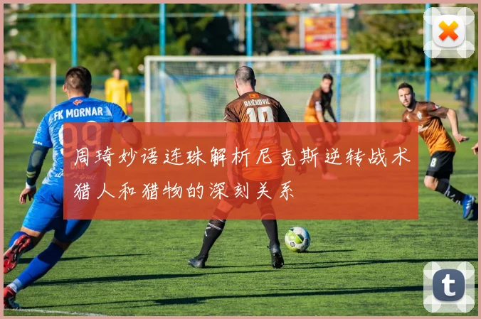 周琦妙语连珠解析尼克斯逆转战术猎人和猎物的深刻关系
